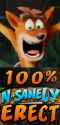 100%NSANELYERECT.png