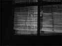 Peter Lorre 169.gif