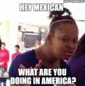 Mexican-shoul-leave-america-meme.jpg