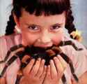 numnumspider.jpg