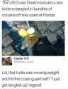 turdle.png
