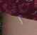 Capture.png
