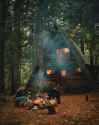A-frame-cabin-with-wood-storage-on-patio.jpg