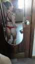 tumblr_p5uvhdgCBC1tg4iawo4_1280.jpg