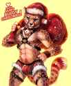 1451056325.cheetahpaws_murry_christmas01_s.jpg