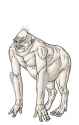 QUADRUPEDAL DEVOLVED HUMAN.jpg