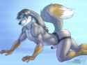 65e81889c83a9c3142734b6b5ad30317.png