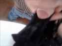 722_160.gif