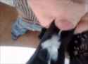 724_160.gif