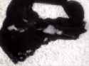 734_160.gif