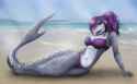 Shark_.jpg