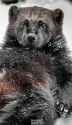 received_1672205759553796.jpg