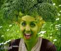 broccoli_head.jpg