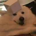 20180312_105734.png