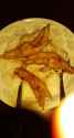 received_1735074359883596.jpg