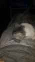 IMG-20180513-WA0043.jpg