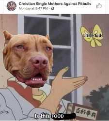 dC9bhly.jpg