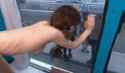 1410234308548.gif