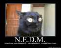 nedm.jpg