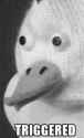 20180511_113207.jpg