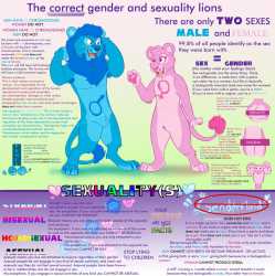 correct_sex_and_sexuality_l_by_cynderthedragon5768dbt0l1d.jpg