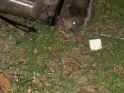 ground 5.jpg