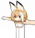 Loong 1.jpg