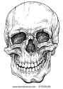 stock-vector-laughing-skull-hand-drawn-vector-illustration-isolated-on-white-377655496.jpg