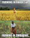 African+farming_20d17d_6353710.jpg