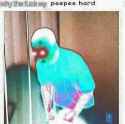 FB_IMG_1502815613754.jpg
