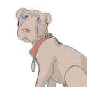 puppy.png