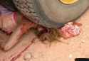 542944d1400773524-just-collection-random-gore-pictures-my_random_gore_pics_014.jpg