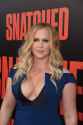 Amy_Schumer_Premiere_20th_Century_Fox_Snatched_9DczjdG5zlJx.jpg