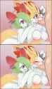 b8e35c1e479a43f295bd49ed203eadf7-sample.jpg