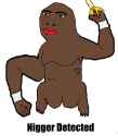 niggerdetected.png