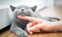 5f312113-eaa8-4e71-9360-871e51084f4f-fotolia_125402501_subscription_monthly_m.jpg