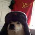 comrade.jpg