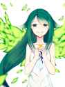 Saya 330.png