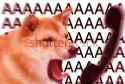 AAAAAAAAAAAAAAAAAAAAAAAAAAAA.jpg