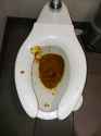 eatmyshit.jpg