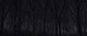 forest_trees_background_dark_91308_2560x1080.jpg