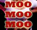 moo-moo-moo.gif