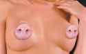 pig nipples.jpg