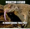 frabz-monitor-lizard-is-monitoring-this-post-1a670d.jpg