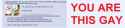 you are this gay 3.jpg