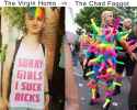 homo vs faggot.jpg