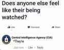 Reqccj6.jpg