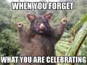 optimistic-opossum-new-zealand-4-58820382ad33f__700.jpg