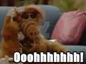 alf_meme_by_engineerjr-d5jxdxt.jpg