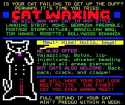 13707062_1787856251501454_57466531_n.jpg